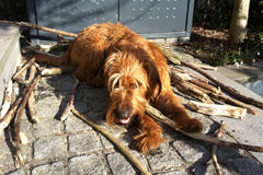 Don’t mess with my sticks!