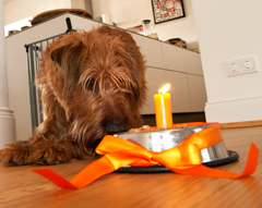 It’s my birthday and I eat if I want to!