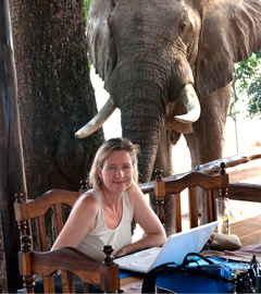 The travel bug at work