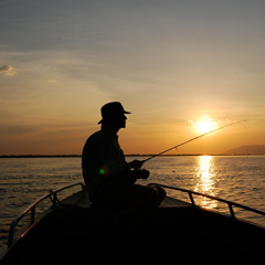 Sunset cruise with hippos and crocodiles