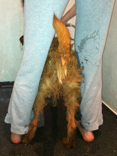 First I break through the ice and now I get the shower treatment