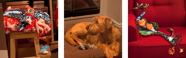 I am a terrier, no birds in my bed!