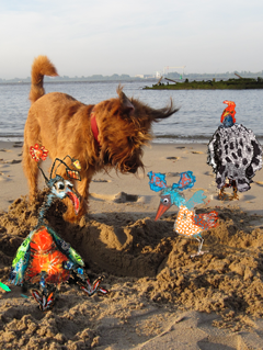Come and play on my beach