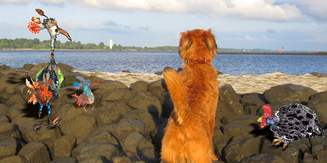 Let’s go and play terrier on the beach!