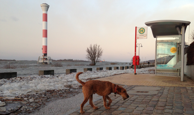 Land unter Eis in HH Blankenese