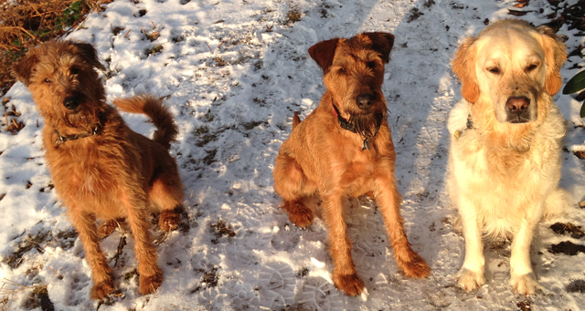 Ein Spaziergang unter Freunden