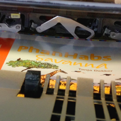 Phanhabs Savanna wird gedruckt