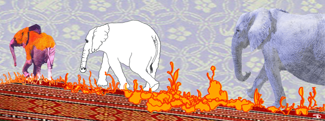 Elephants may be gone soon – unless something happens