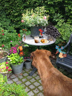 Summer-time, garden-time, tea-time, naughty-time…
