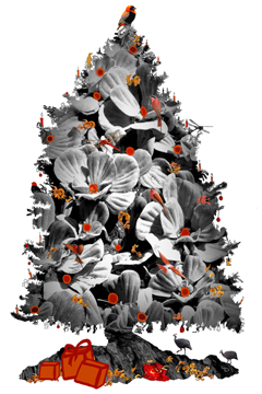 Wishing you FROHE KERST HAPPY 2014