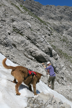 Verlagshund Duvel auf Wanderschaft
