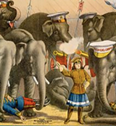 De olifant, een circus icoon