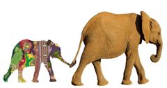 Happy Elephantastic New Year