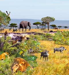 Sneak preview Phanhabs Savanna