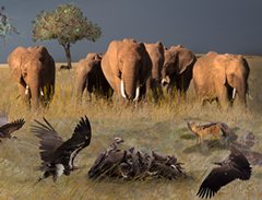 The making of Phanhabs Savanna’s change of seasons
