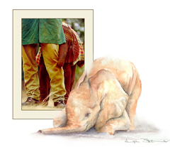 How to foster an elephant