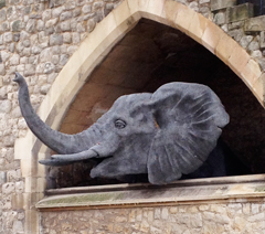 Exotic beasts back on royal grounds