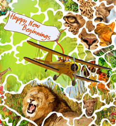 Happy New Beginnings for twikga