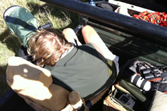 Back from the field office