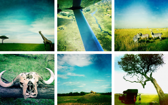 Safari Hipstas