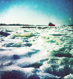 Der Winter ist zurück an der Elbe