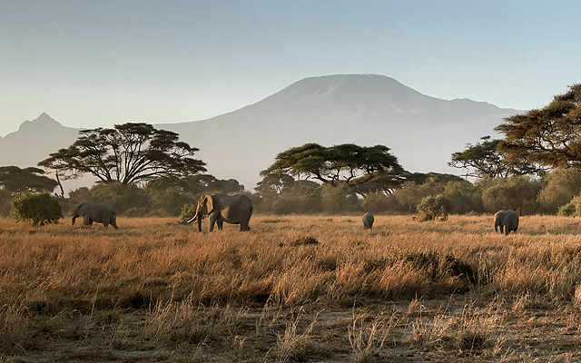 Big tuskers, hides and Big Five in Kenya