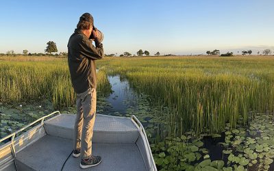 Green Okavango Delta